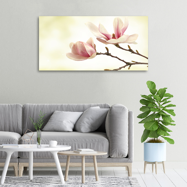 Canvas foto Magnolia