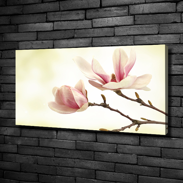 Canvas foto Magnolia