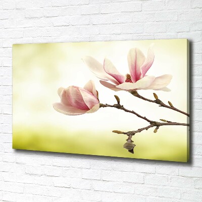Canvas foto Magnolia