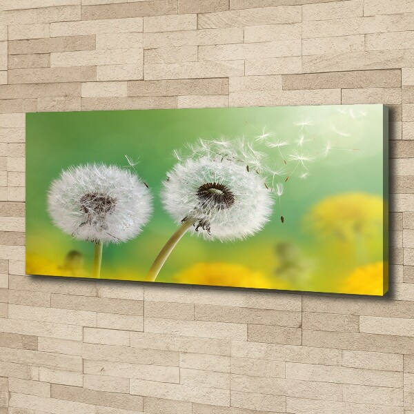 Canvas schilderij Paardenbloemen