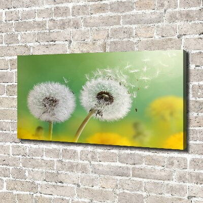 Canvas schilderij Paardenbloemen