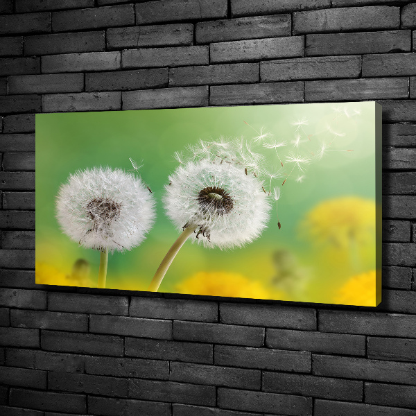 Canvas schilderij Paardenbloemen