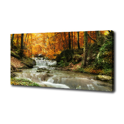 Foto op canvas Waterval in het bos