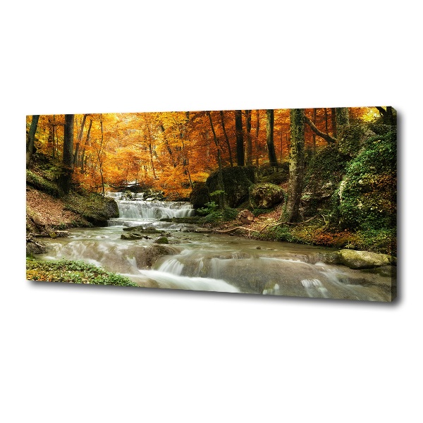 Foto op canvas Waterval in het bos