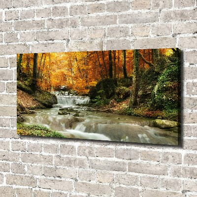 Foto op canvas Waterval in het bos