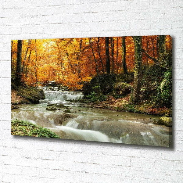 Foto op canvas Waterval in het bos