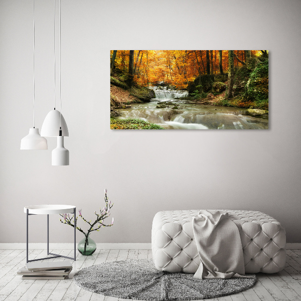 Foto op canvas Waterval in het bos