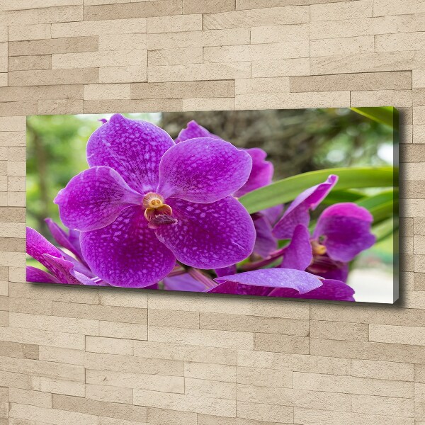 Schilderij op canvas Orchidee