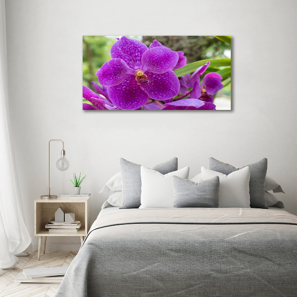 Schilderij op canvas Orchidee