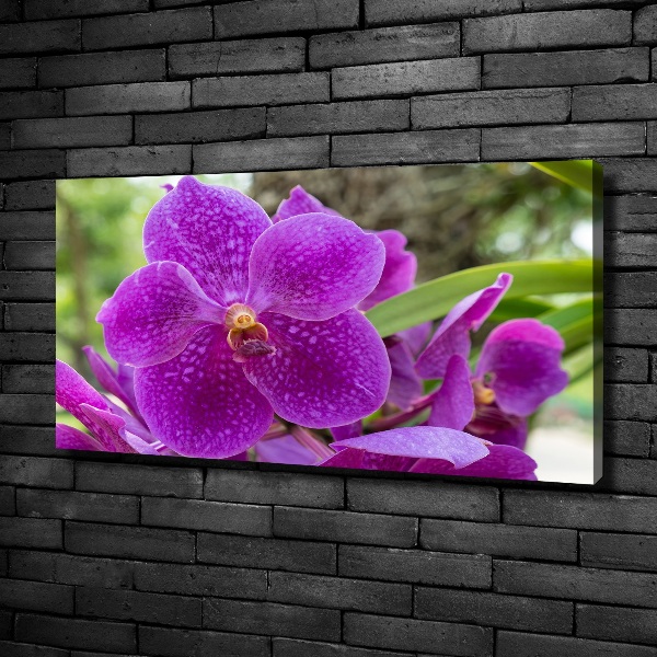 Schilderij op canvas Orchidee