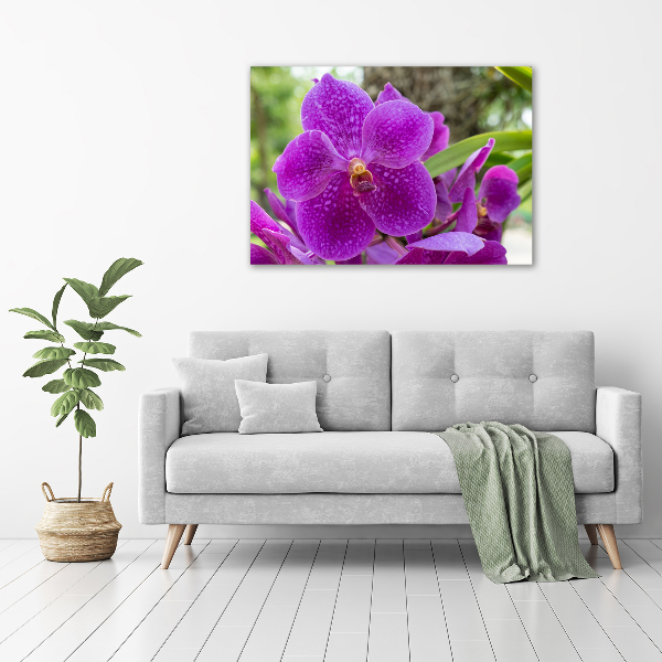 Schilderij op canvas Orchidee