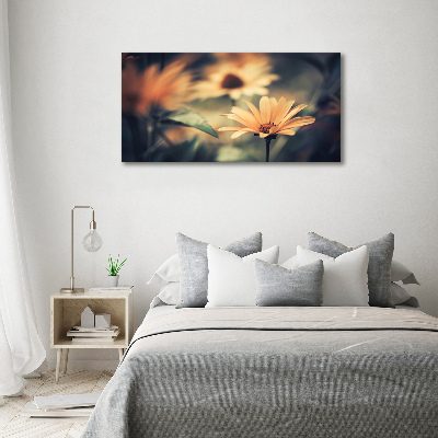 Foto op canvas Lentebloem