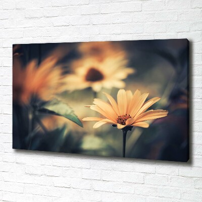 Foto op canvas Lentebloem