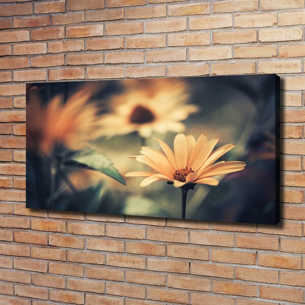 Foto op canvas Lentebloem