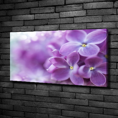 Canvas schilderij Seringbloemen