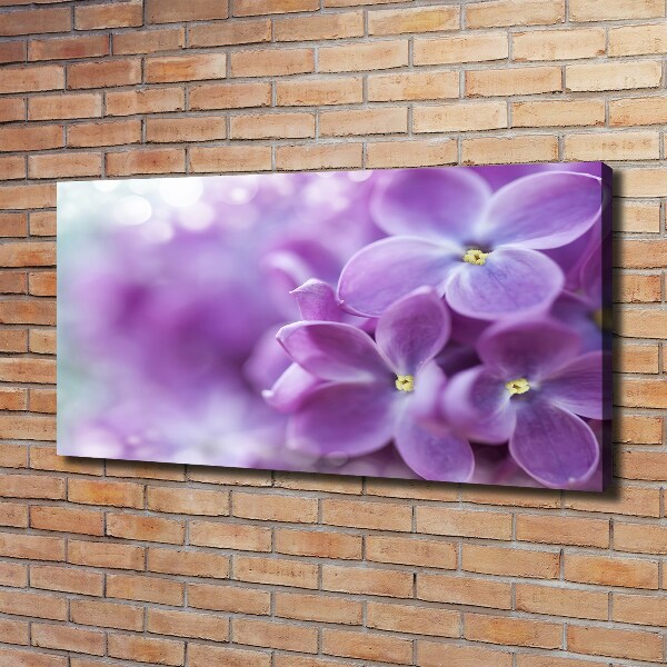 Canvas schilderij Seringbloemen