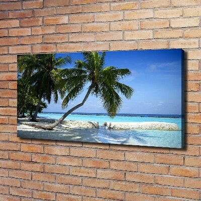 Schilderij op canvas Tropisch strand