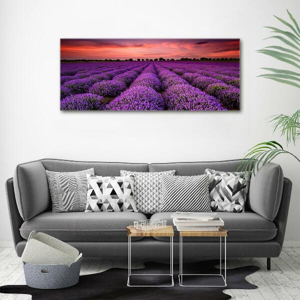 Foto canvas Lavendelveld