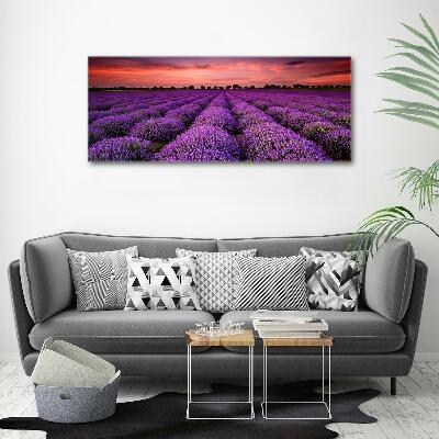 Foto canvas Lavendelveld