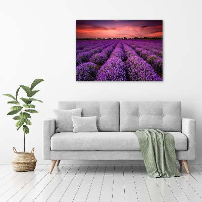 Foto canvas Lavendelveld