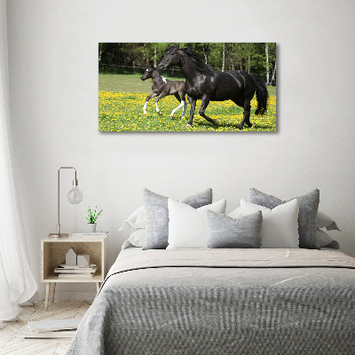 Foto op canvas Merrie met veulen