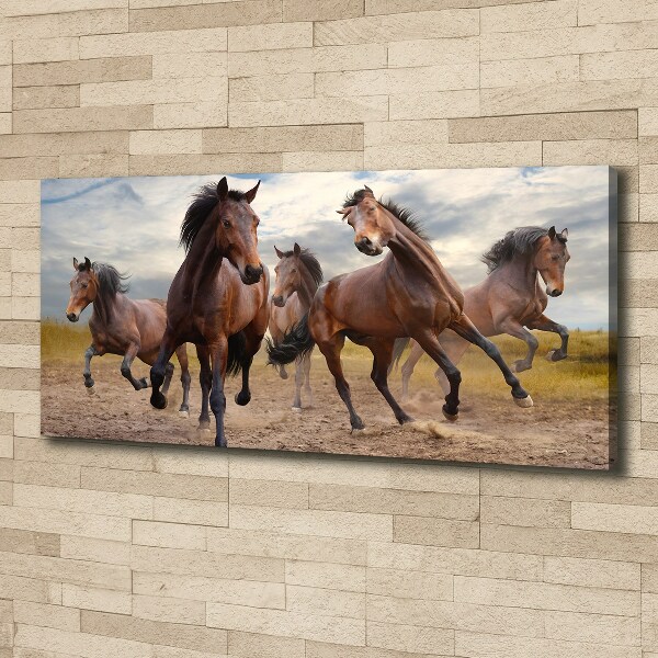 Canvas foto Vijf paarden