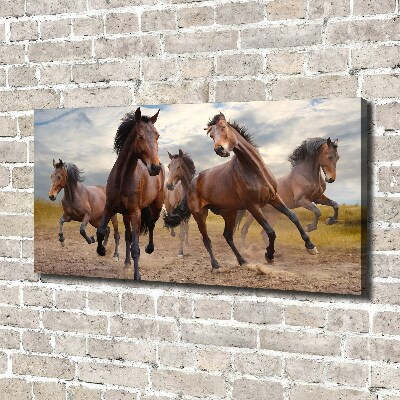 Canvas foto Vijf paarden