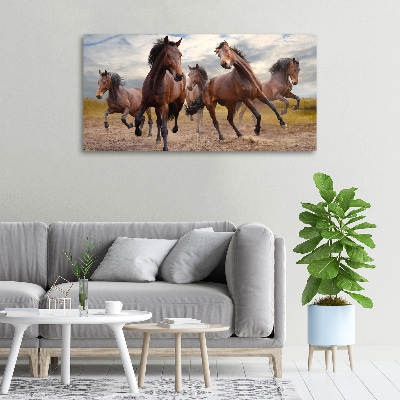 Canvas foto Vijf paarden