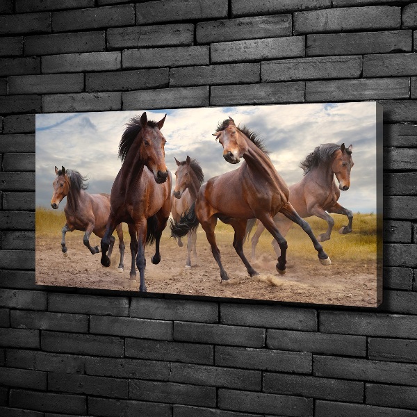 Canvas foto Vijf paarden