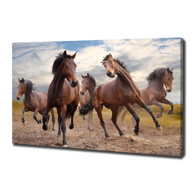 Canvas foto Vijf paarden