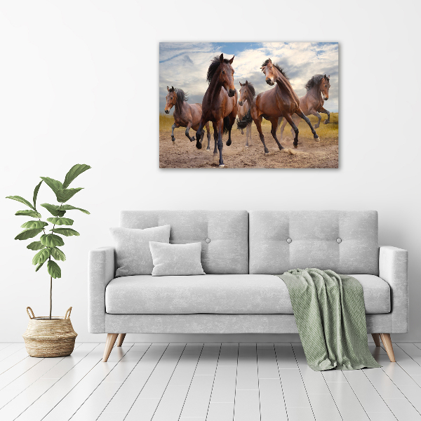 Canvas foto Vijf paarden