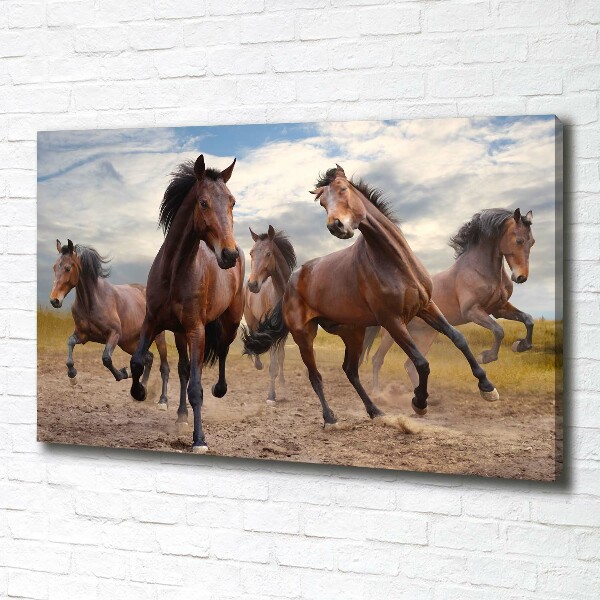 Canvas foto Vijf paarden