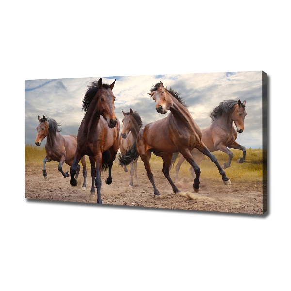 Canvas foto Vijf paarden