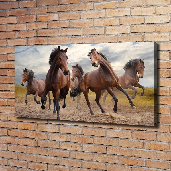 Canvas foto Vijf paarden