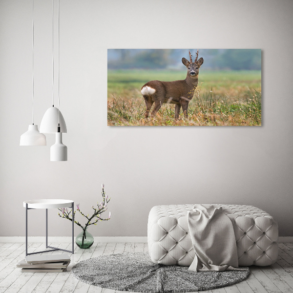 Canvas schilderij Roe