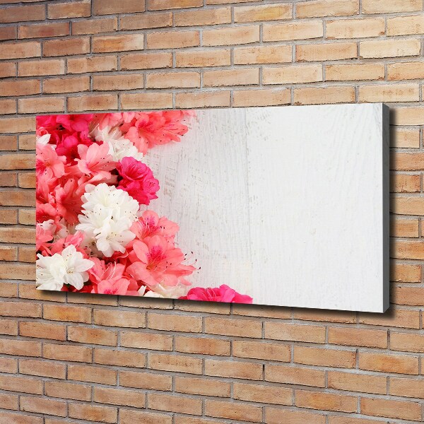 Foto canvas Bloemen