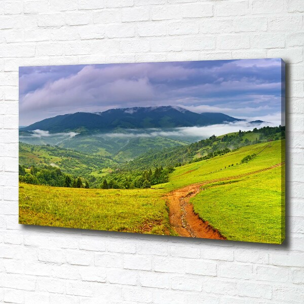 Foto op canvas Groene heuvels