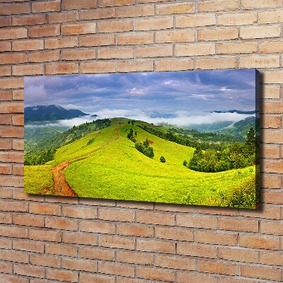 Foto op canvas Groene heuvels