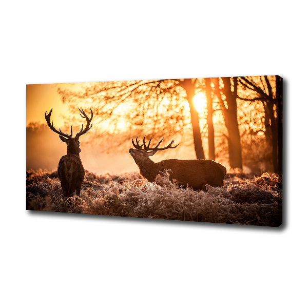 Foto canvas Herten zonsopgang