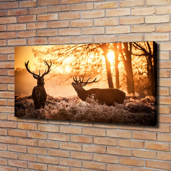 Foto canvas Herten zonsopgang