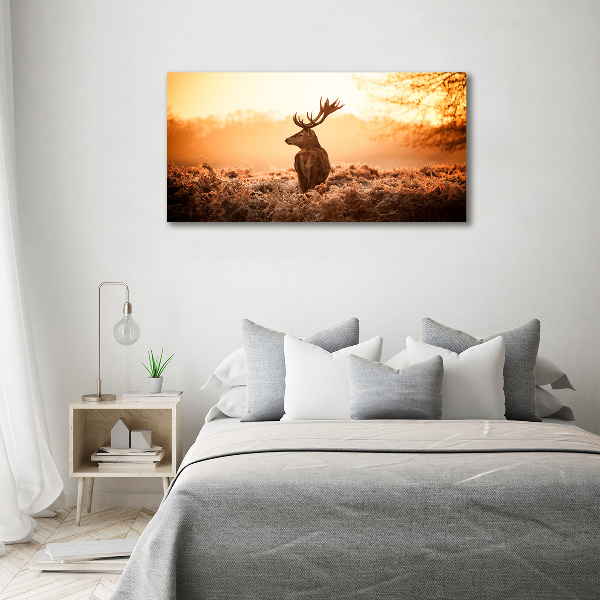 Foto op canvas Herten zonsopgang