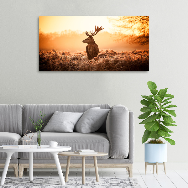 Foto op canvas Herten zonsopgang