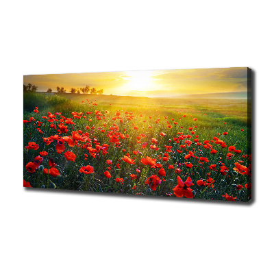 Canvas foto Klaprozenveld