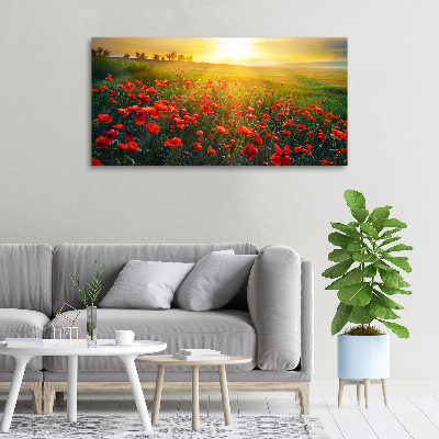 Canvas foto Klaprozenveld