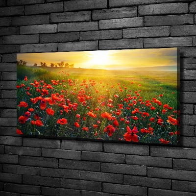 Canvas foto Klaprozenveld
