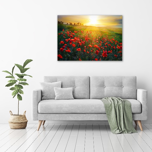 Canvas foto Klaprozenveld