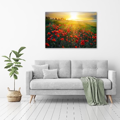 Canvas foto Klaprozenveld