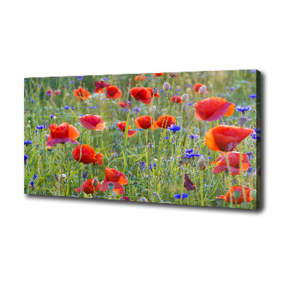 Foto canvas Wilde bloemen