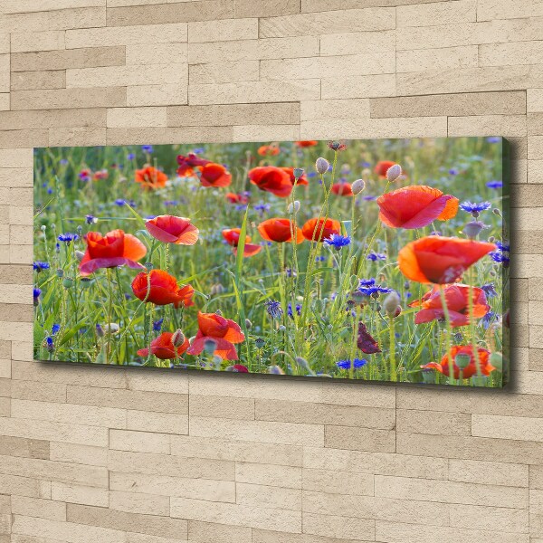 Foto canvas Wilde bloemen