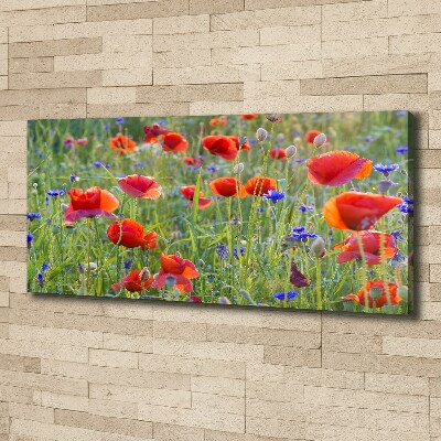 Foto canvas Wilde bloemen